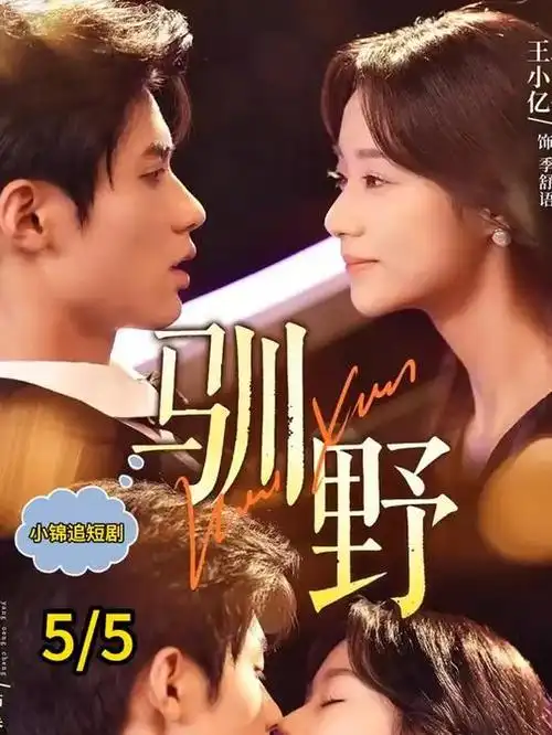 总裁的替身新娘 短剧免费观看